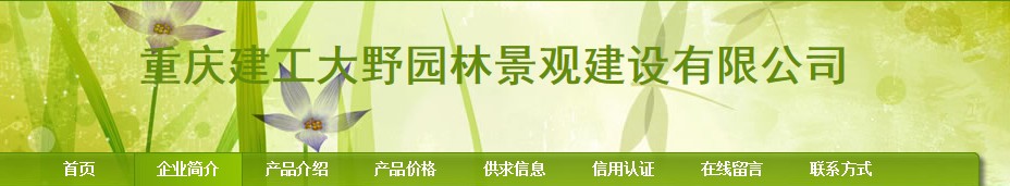 重庆建工（集团）大野园林景观建设有限公司