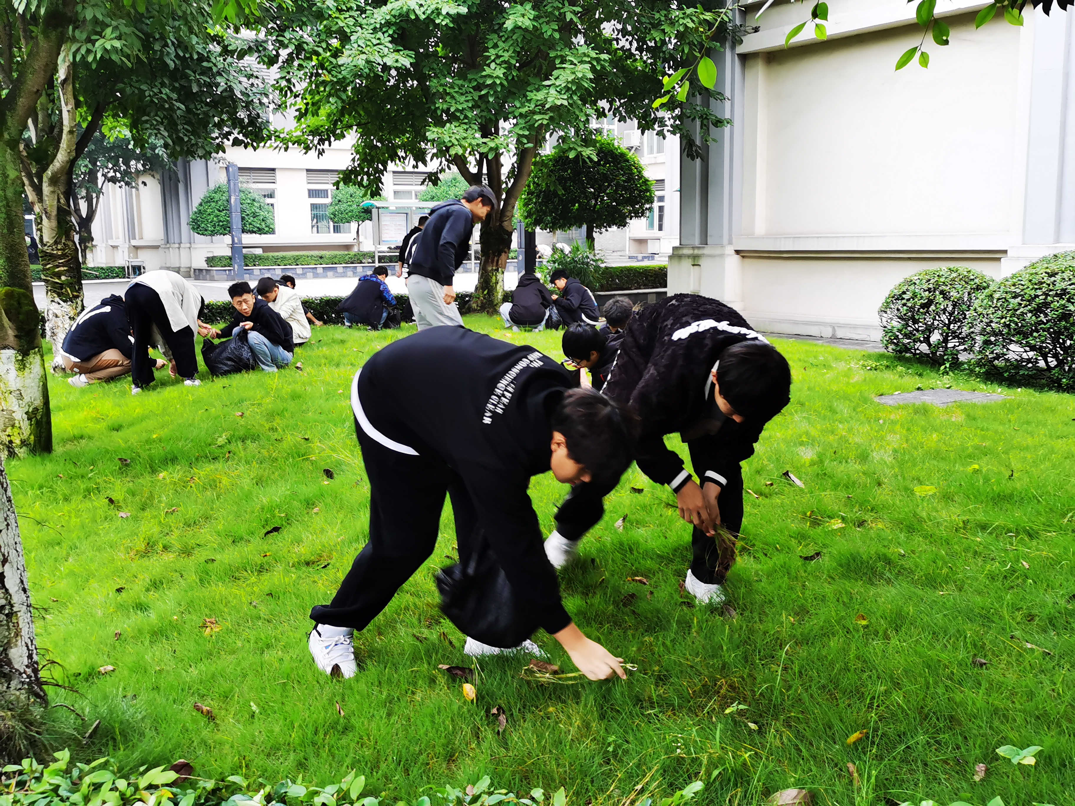 我为同学做件事|“美化校园，笑容先行”志愿活动